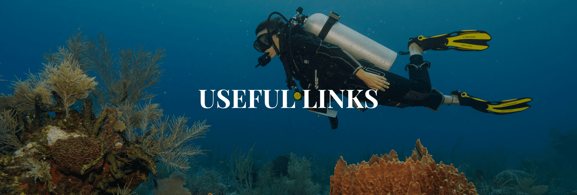 A diver exploring a vibrant underwater scene with coral and marine life.