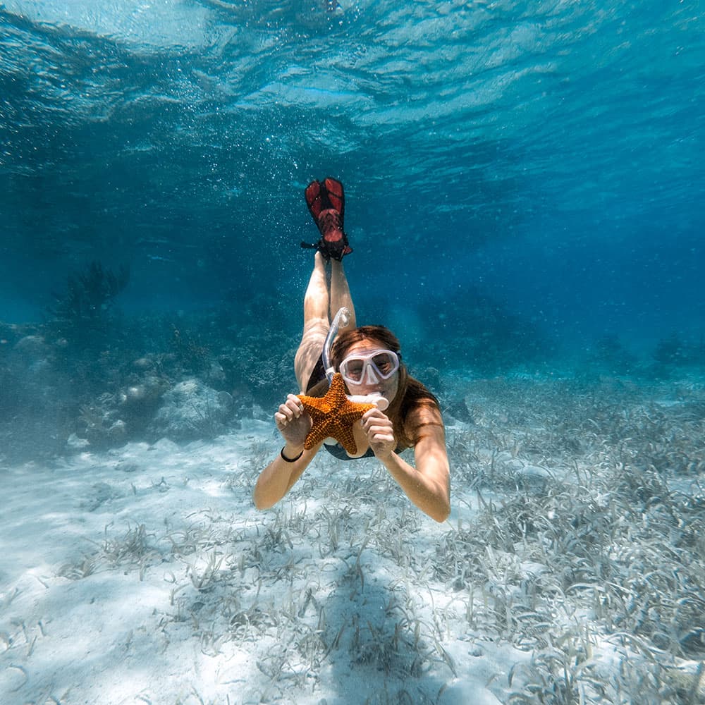 A snorkeler underwater holds a starfish while swimming over a sandy seabed.