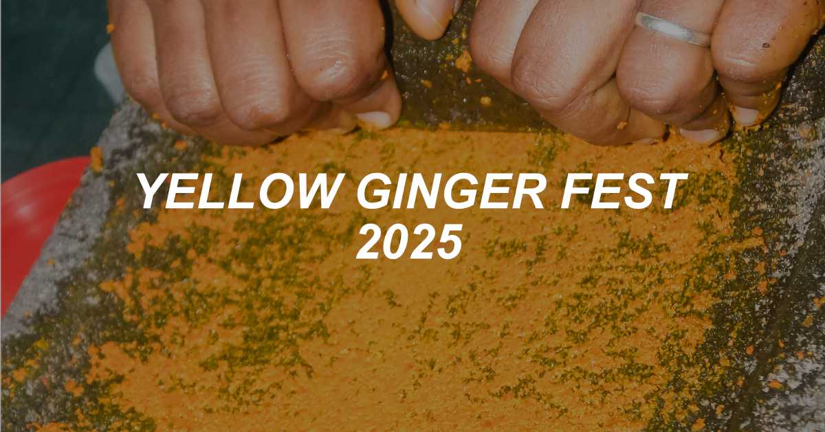 Yellow Ginger Fest 2025 Yellow Ginger Fest 2025